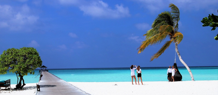 maldivies.png